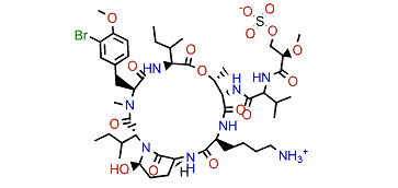 Jizanpeptin B